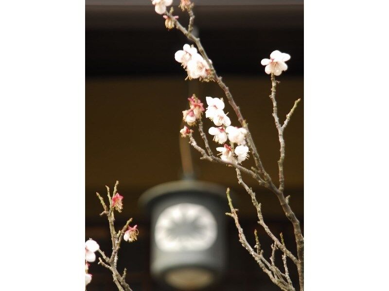 Atami Taikansou Extérieur photo